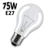 Ampoule standard claire 75W E27 230V