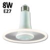 Ampoule LED RADIANCE blanche 8W E27