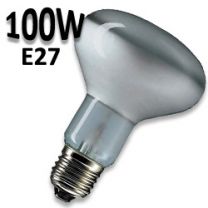 Ampoule réflecteur PAR25 100W E27