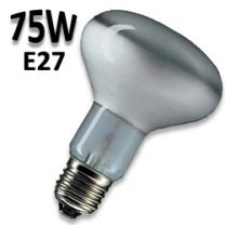 Ampoule réflecteur PAR25 75W E27