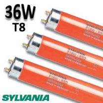 Tube fluo rouge 36W - SYLVANIA 0002573