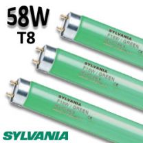 Tube fluo vert 58W - SYLVANIA 0002570