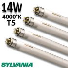 Tube fluo 14W 840 - SYLVANIA Luxline Plus FHE 14W