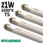Tube fluo 21W 865 - SYLVANIA Luxline Plus FHE 21W