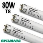 Tube fluo boucherie 30W - SYLVANIA FOODSTAR 30W/176