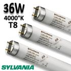 Tube fluo 36W 840 G13 - SYLVANIA Luxline Plus 36W