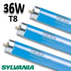 Tube fluorescent couleur bleu 36W - 1,20m